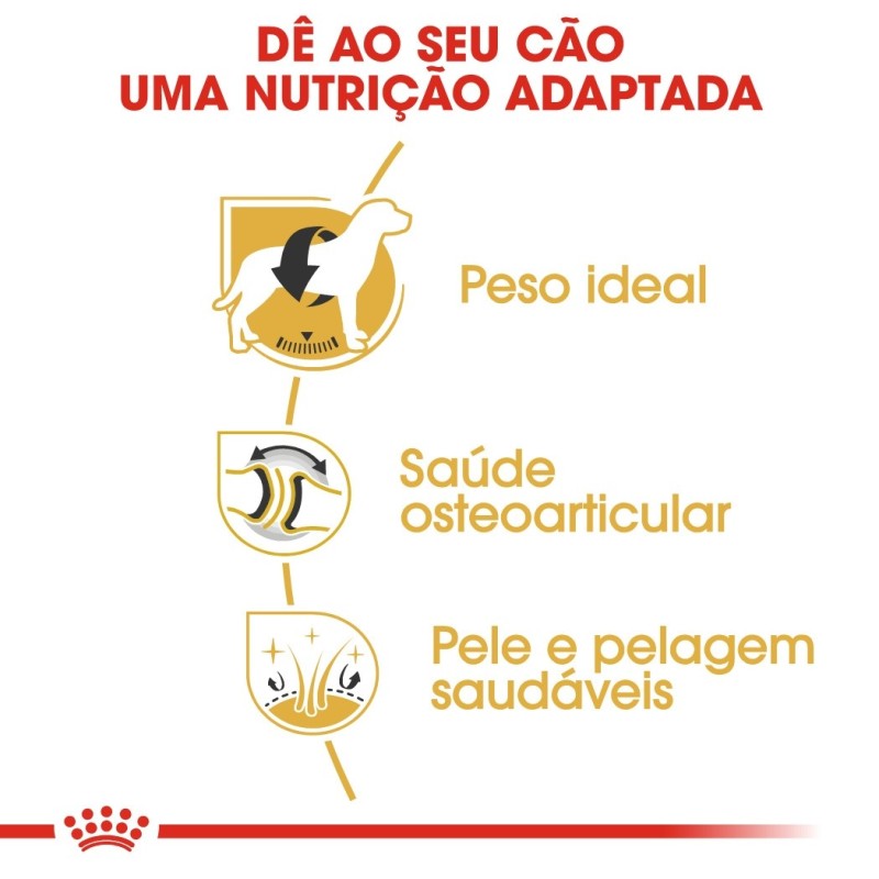 Ração para cão Royal Canin Labrador Retriever