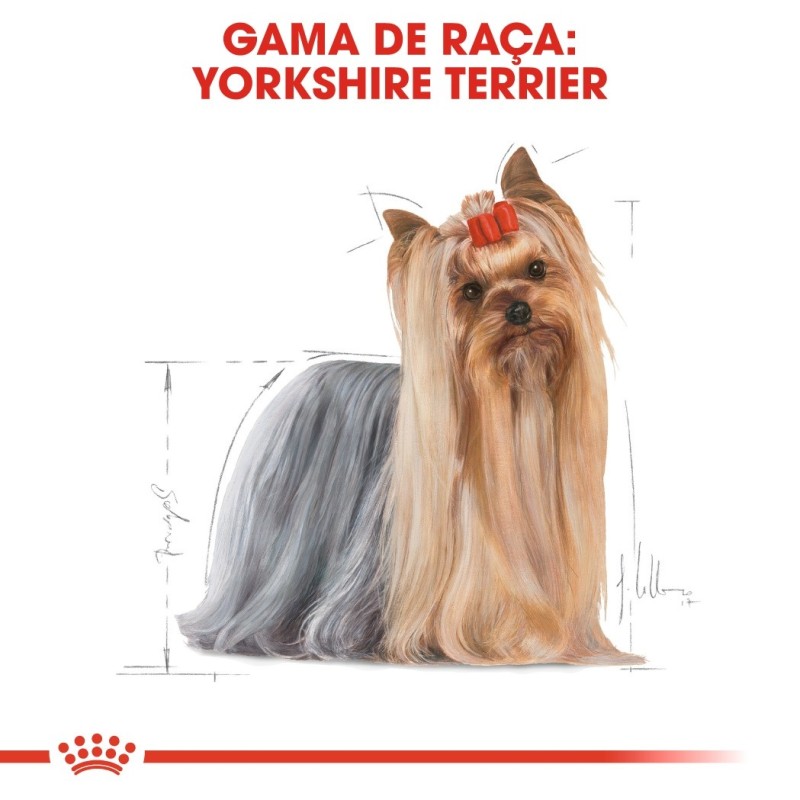 Ração para cão Royal Canin Yorkshire Terrier