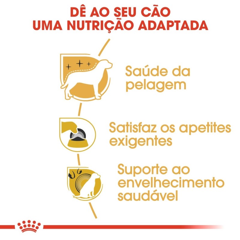 Ração para cão Royal Canin Yorkshire Terrier
