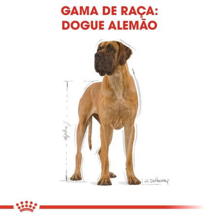Ração para cão Royal Canin Dogue Alemão