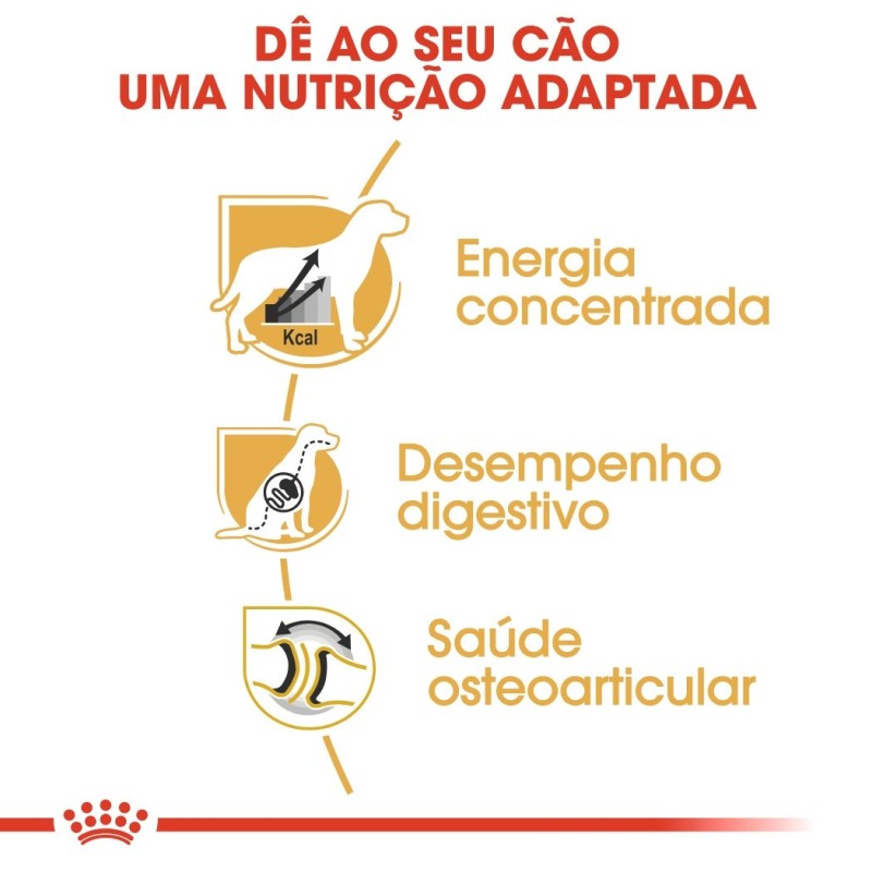 Ração para cão Royal Canin Dogue Alemão