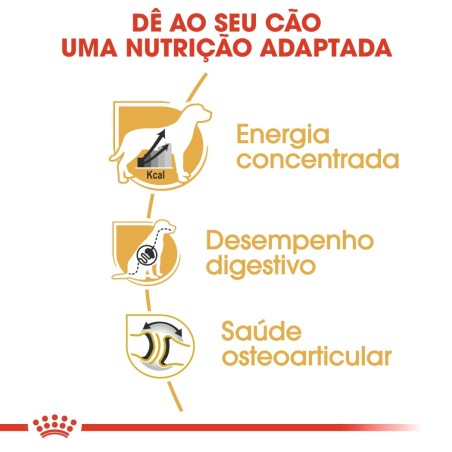 Ração para cão Royal Canin Dogue Alemão