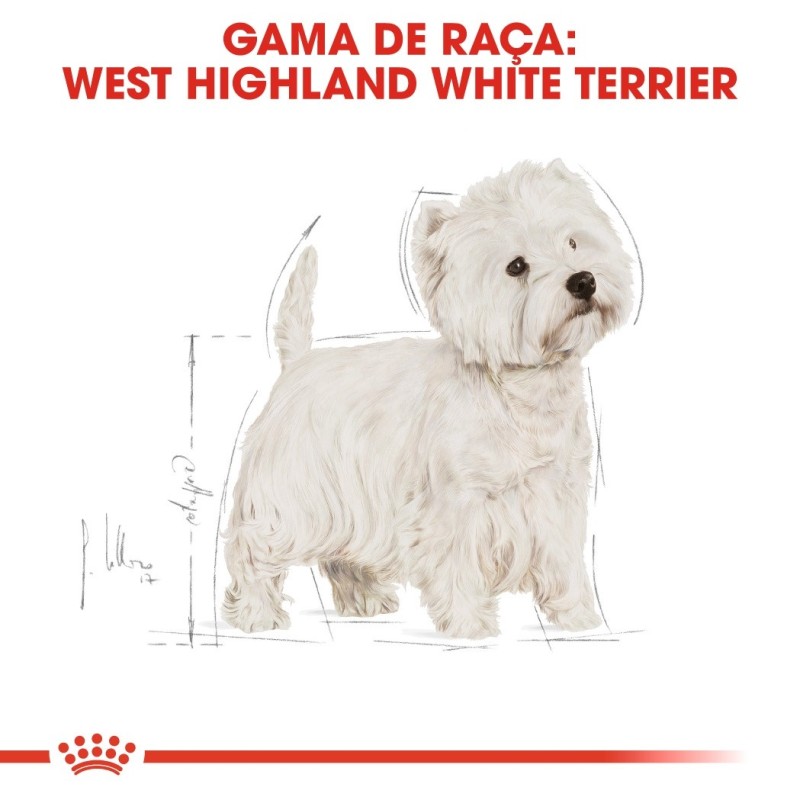 Ração para cão Royal Canin West Highland White Terrier