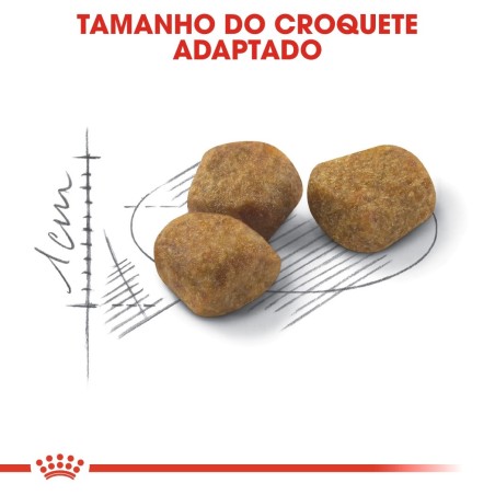 Ração para gato Royal Canin Indoor 7+