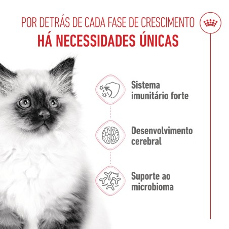 Ração para gato Royal Canin Kitten