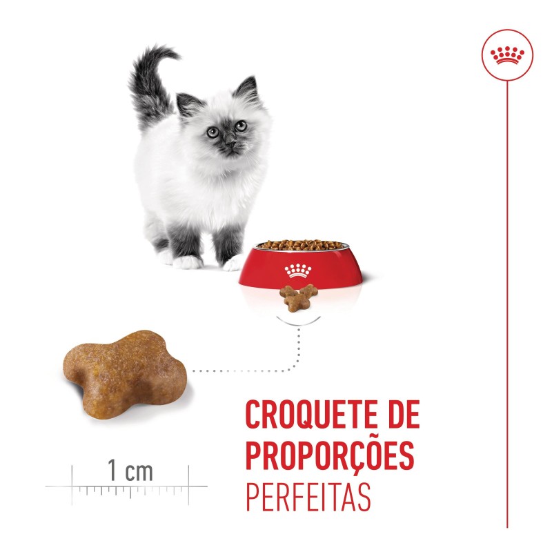 Ração para gato Royal Canin Kitten