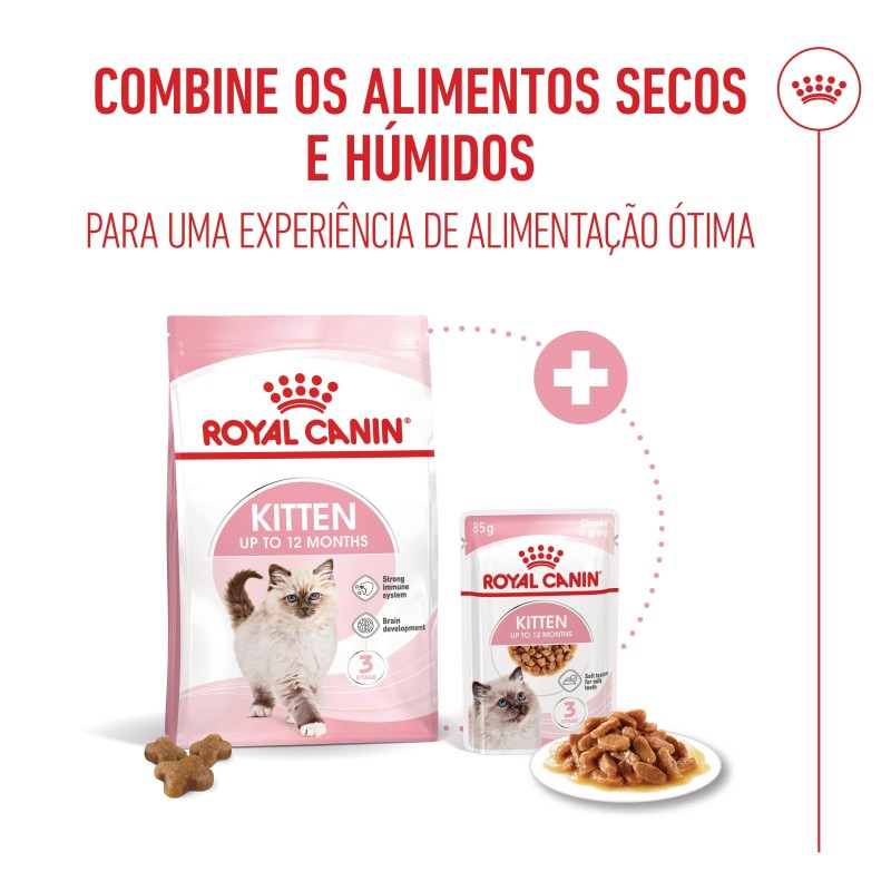 Ração para gato Royal Canin Kitten