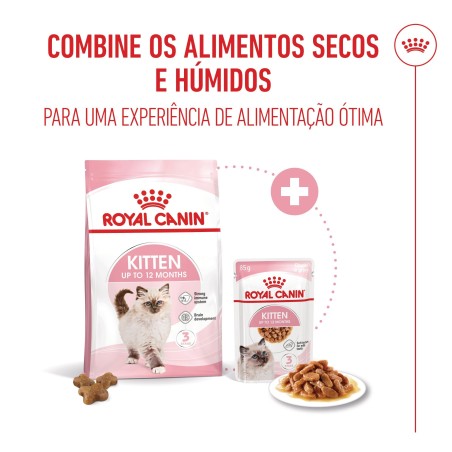 Ração para gato Royal Canin Kitten