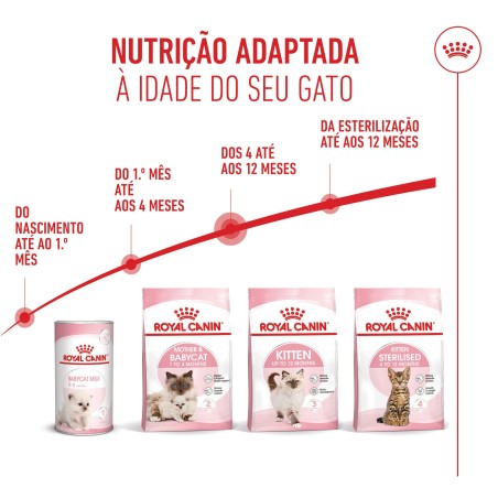 Ração para gato Royal Canin Kitten