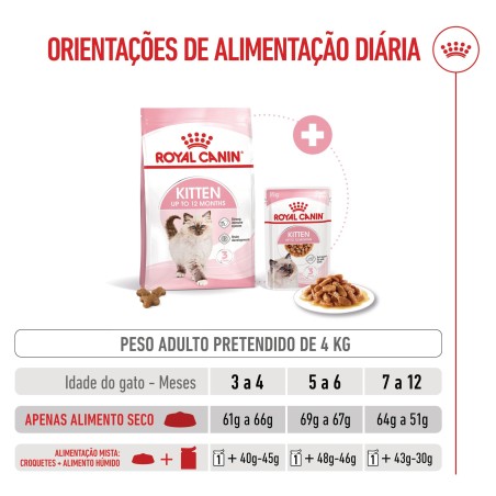 Ração para gato Royal Canin Kitten