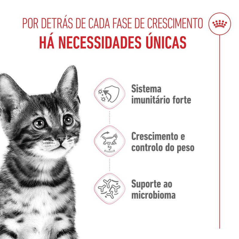 Ração para gato Royal Canin Kitten Sterilised