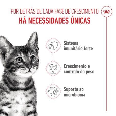 Ração para gato Royal Canin Kitten Sterilised