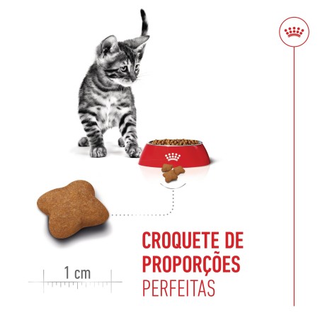 Ração para gato Royal Canin Kitten Sterilised