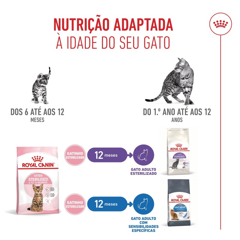 Ração para gato Royal Canin Kitten Sterilised