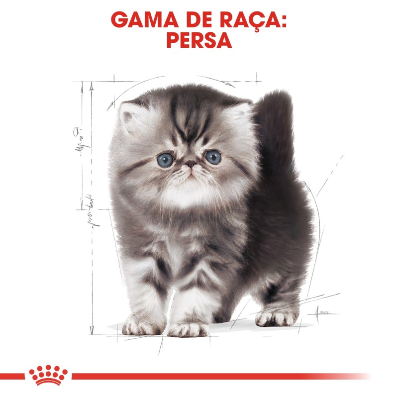 Ração para gato Royal Canin Persian Kitten