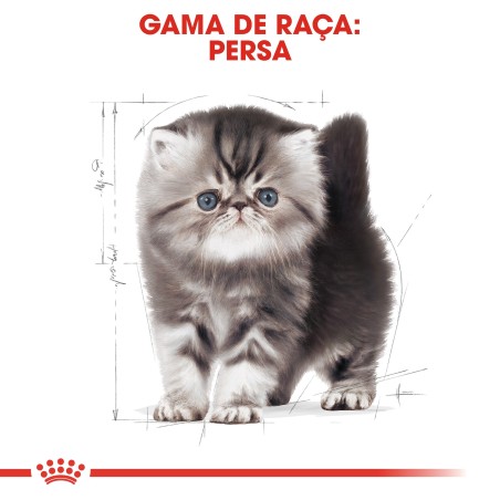 Ração para gato Royal Canin Persian Kitten