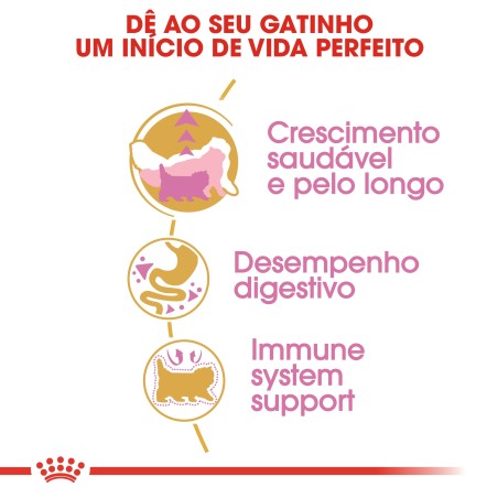 Ração para gato Royal Canin Persian Kitten