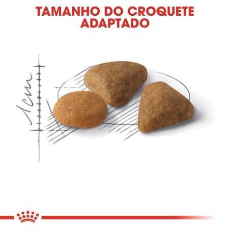 Ração para gato Royal Canin Savour exigent